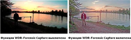 купольные миникамеры видеонаблюдения M3104-L/LVE с передовой технологией WDR - Forensic Capture