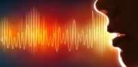 Использование звука в системах наблюдения и снижение количества ложных тревог Использование звука в системах наблюдения и снижение количества ложных тревог
