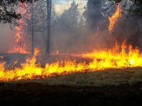 Камеры видеонаблюдения и борьба с пожарами