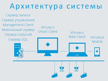 архитектура системы на базе ПО XProtect Express+