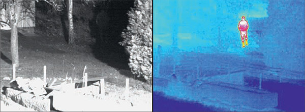 Thermal_Cameras_2.jpg
