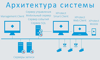 архитектура системы XProtect Professional+