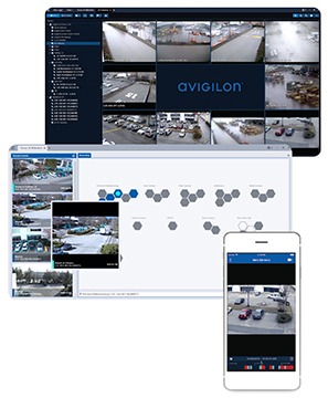 Webinar_Avigilon_2.jpg