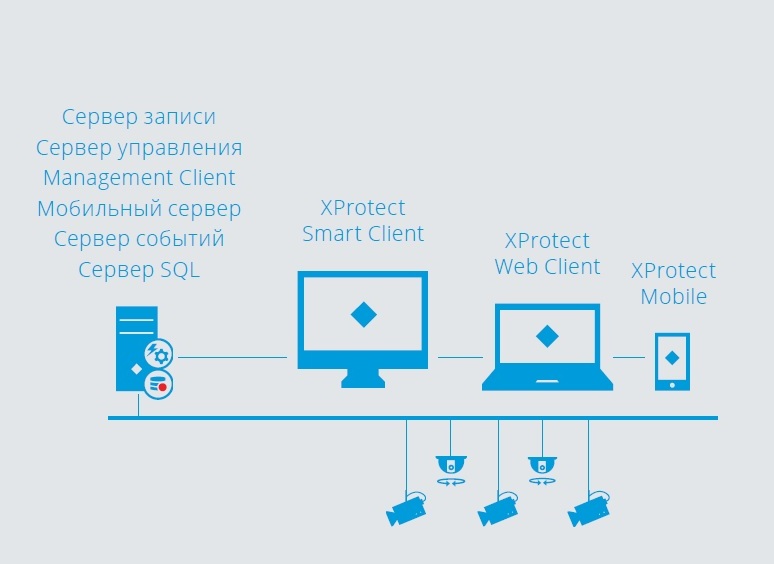 архитектура системы на базе ПО XProtect Essential+