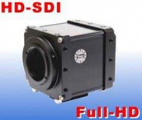Новые HD-SDI камеры видеонаблюдения Watec WAT-2100